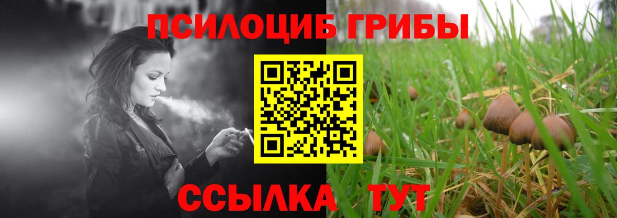 Псилоцибиновые грибы GOLDEN TEACHER  Вход с VPN  где найти наркотики  Камень-на-Оби 