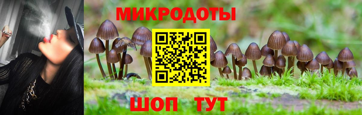 Меф кристаллы  Каннабис  КОКАИН  Вход с VPN  Продажа наркотиков  Кетамин  А ПВП СОЛЬ   ГАШ  Камень-на-Оби  Гашиш 